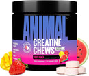 Container of Animal Creatine Chews with fruit punch flavor, surrounded by watermelon, strawberry, and pineapple.