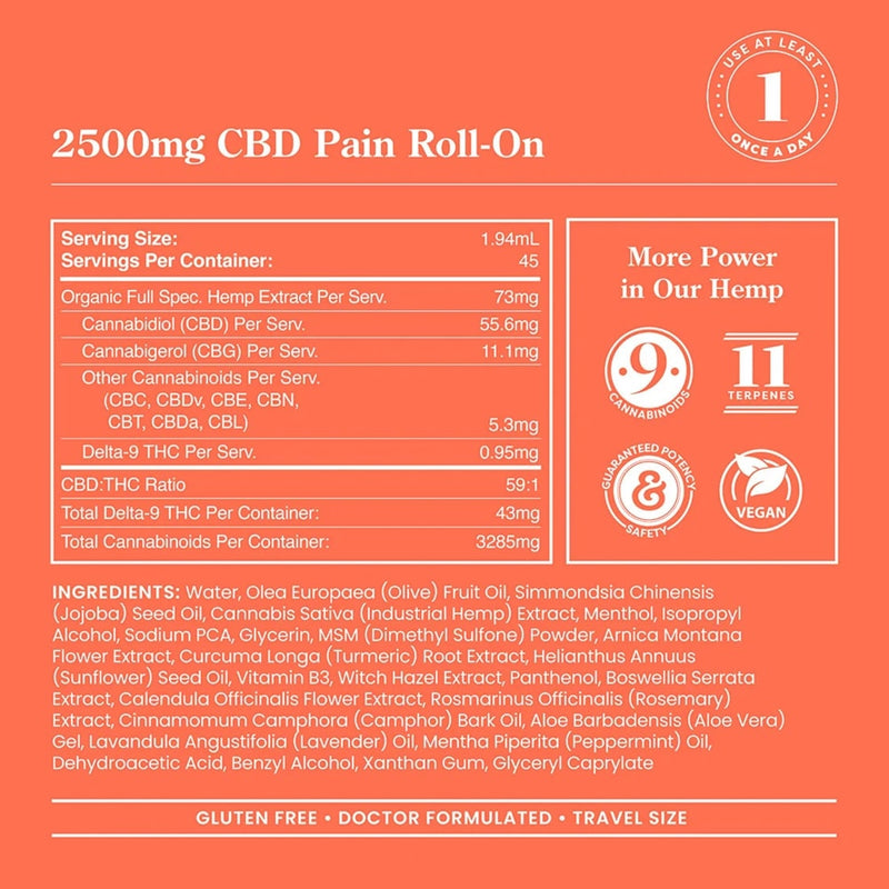 R&R Medicinal CBD Pain Roll-On 2.95 FL Oz