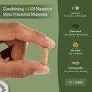 Hand holding a supplement with natural ingredients listed on a green background