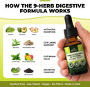 A hand holds a small amber dropper bottle labeled Soursop Digestive Root Drops against a promotional graphic explaining how the 9-herb digestive formula works, with ingredient callouts and benefits listed.