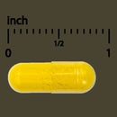 Terry Naturally Berberine MetX™ Enhanced Absorption - Berberine Made Better 60 caps