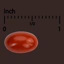 Red blood cell next to an inch measurement scale on a dark background