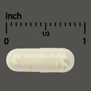 Capsule with a measurement scale in inches on a gray background
