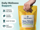 A hand holds a yellow stand-up pouch of True Sea Moss Sea Moss Gummies against a light blue background with marketing text and benefit callouts on the left.