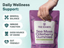 A hand holds a purple stand-up pouch of True Sea Moss Sea Moss Elderberry Gummies against a light blue background with marketing text listing benefits like mineral balance, immune function, and gut friendly support.