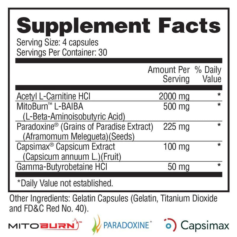 Apollon NutritionApollon Nutrition Molotov NonStim Fat Burner & Powerful ThermogenicFat Burner850862007859