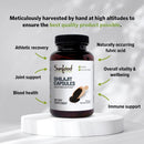 SunfoodSunfood Shilajit Capsules 500mg, 90 capsSuperfoods803813101137